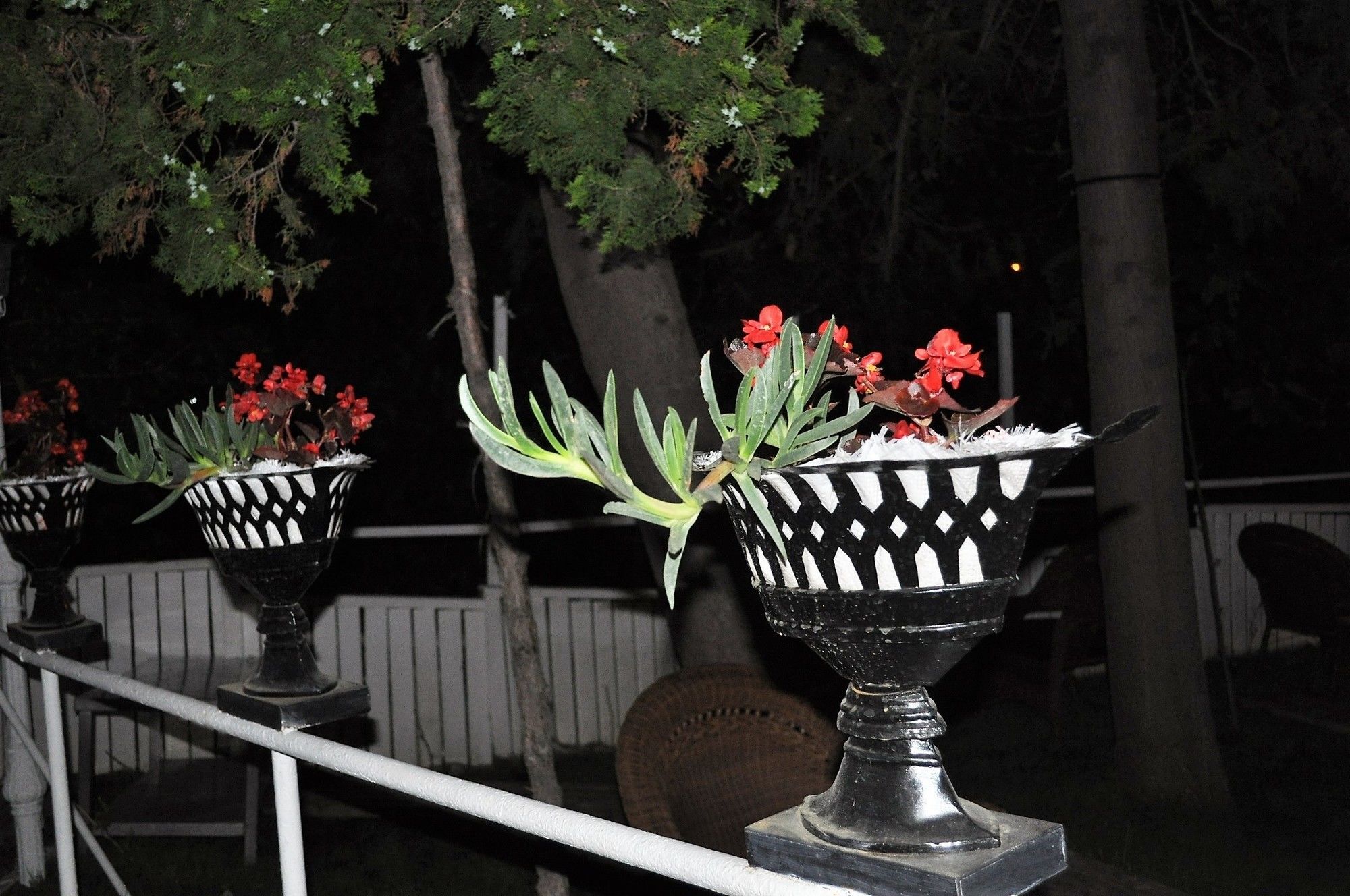 Syedra Princess Hotel Mahmutlar Dış mekan fotoğraf