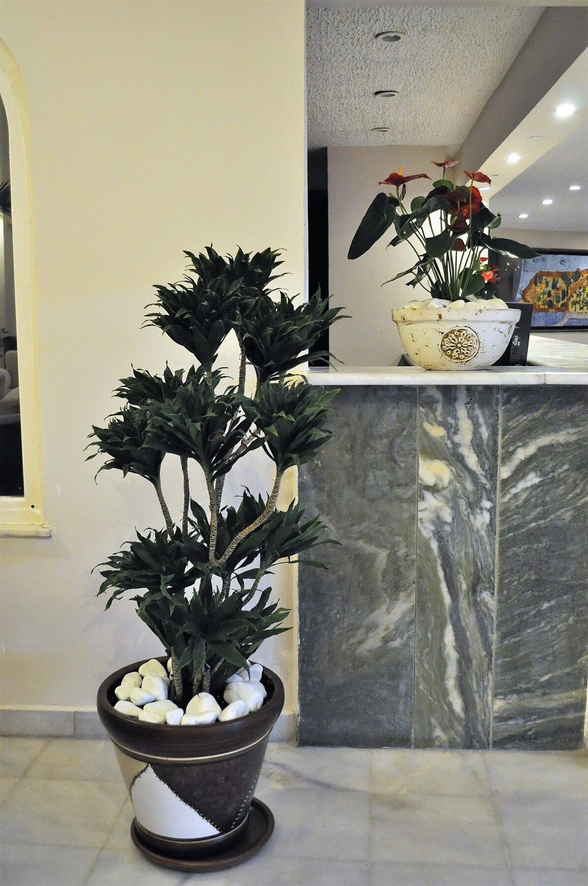 Syedra Princess Hotel Mahmutlar Dış mekan fotoğraf